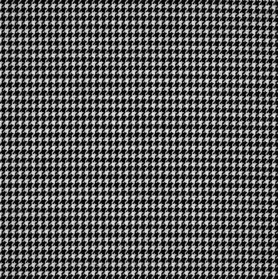 Fourlong_Negro1