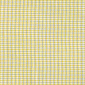IXTAPAN AMARILLO