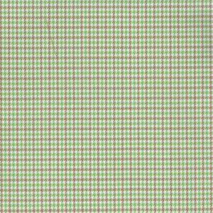 IXTAPAN VERDE