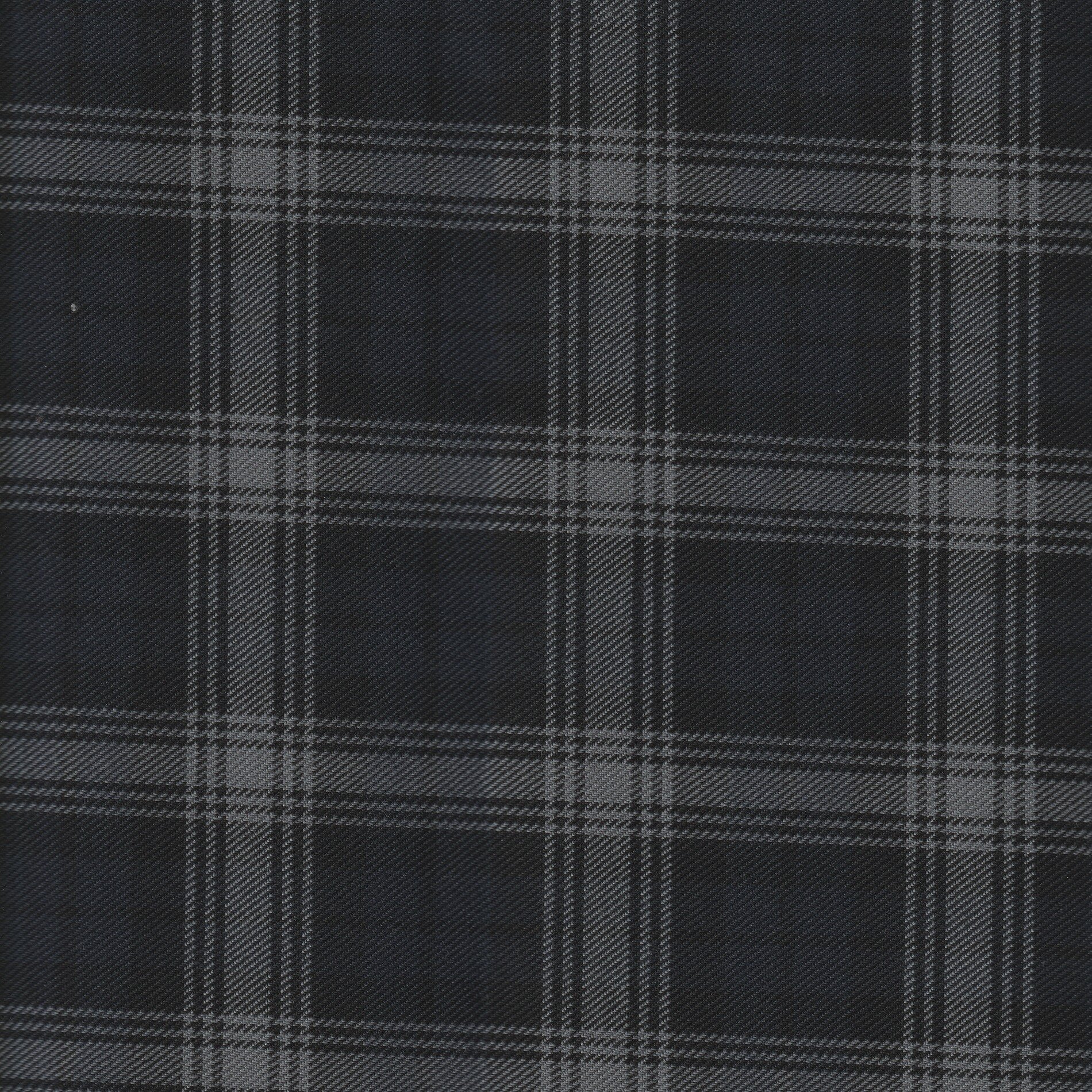 Marcuna Gris